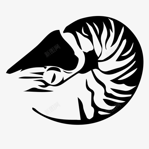 鹦鹉螺动物海图标svg_新图网 https://ixintu.com 动物 原始时代 水 海 虾 鹦鹉螺