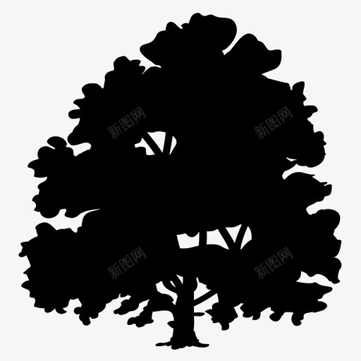 树执行者巴西生态系统图标svg_新图网 https://ixintu.com 巴西 巴西树 本地 树 树执行者 生态系统 自然