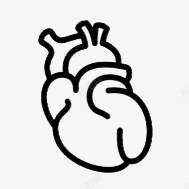 人的心脏解剖学身体图标图标