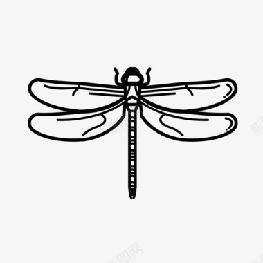 蜻蜓昆虫大自然图标图标