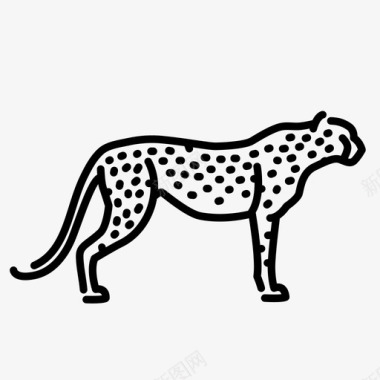 猎豹动物猫图标图标