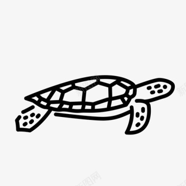 海龟动物自然图标图标
