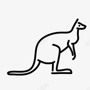 袋鼠动物哺乳动物图标图标