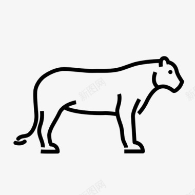 狮子动物大猫图标图标