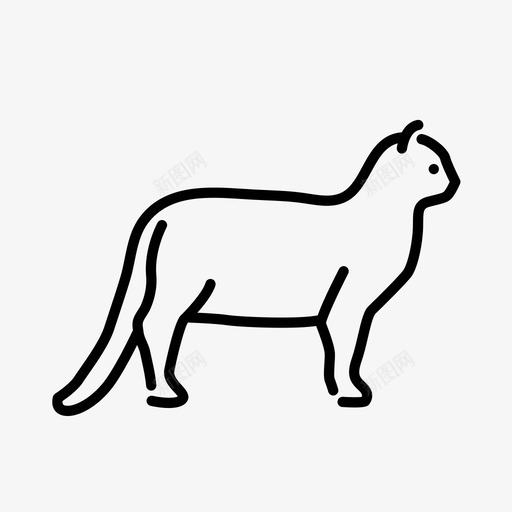 猫动物哺乳动物图标svg_新图网 https://ixintu.com 动物 动物哺乳动物 哺乳动物 猫 自然 野生动物