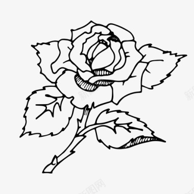 玫瑰花玫瑰丛图标图标