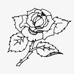 玫瑰花icon玫瑰花玫瑰丛图标高清图片