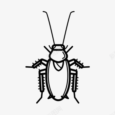 蟑螂虫子生物图标图标