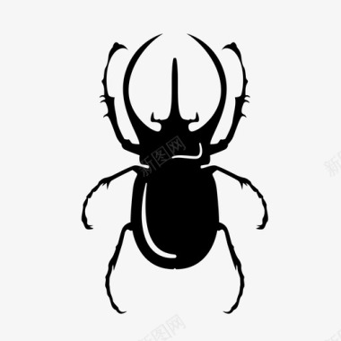 甲虫节肢动物昆虫图标图标