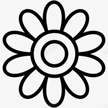 非洲菊花非洲菊花图标图标
