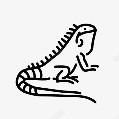 鬣蜥动物蜥蜴图标图标