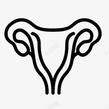 子宫解剖学身体图标图标