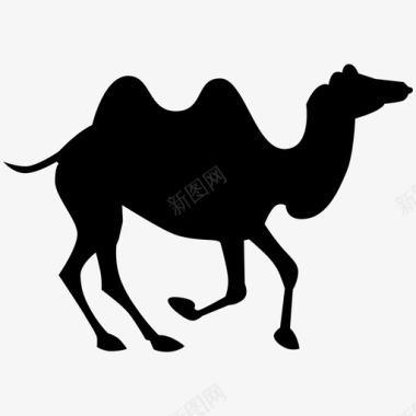 骆驼非洲动物图标图标