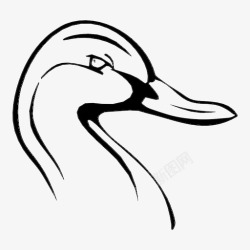 鸭鸟鸭嘴呱呱图标高清图片