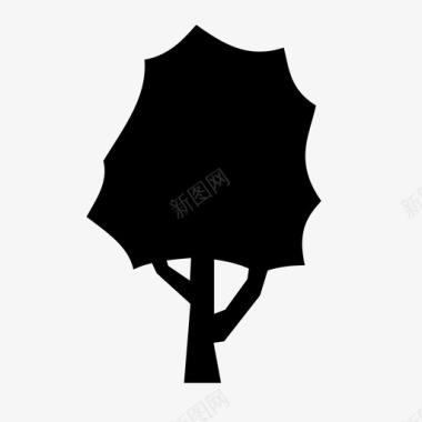 枫树加拿大山胡桃图标图标