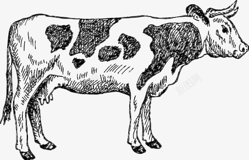 牛牛肉家畜图标图标