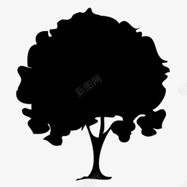 橄榄树生物多样性巴西树图标图标