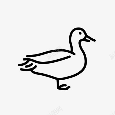 鸭水鸟小鸭图标图标