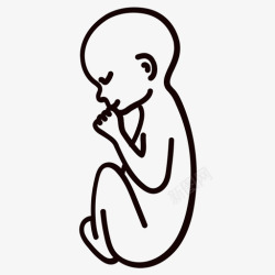 三十八三十八岁婴儿胚胎图标高清图片