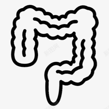 大肠解剖学身体图标图标
