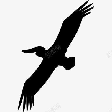 鹈鹕鸟飞翔图标图标