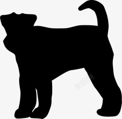 威尔士梗威尔士梗动物狗图标高清图片