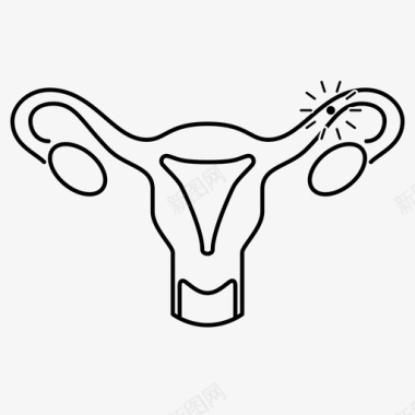 排卵卵巢怀孕图标图标