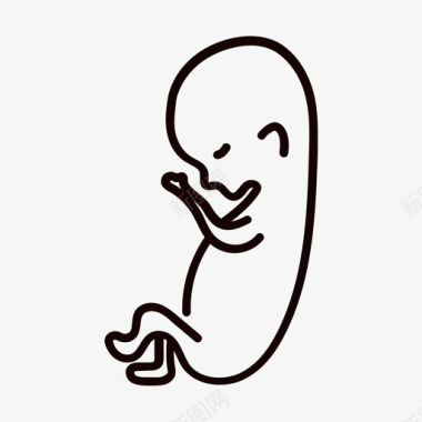 八周婴儿胚胎图标图标