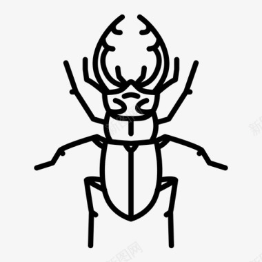 鹿甲虫动物虫子图标图标
