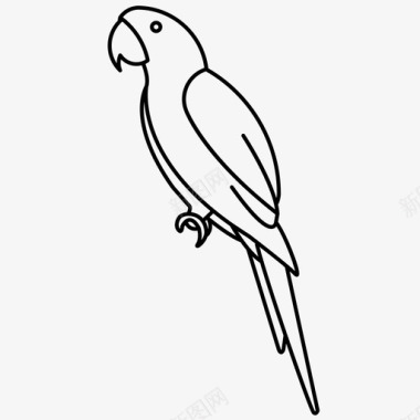 金刚鹦鹉鸟鹦鹉图标图标