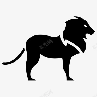 狮子猫丛林图标图标