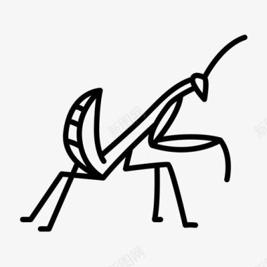 螳螂动物虫子图标图标