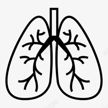 呼吸系统身体系统人图标图标
