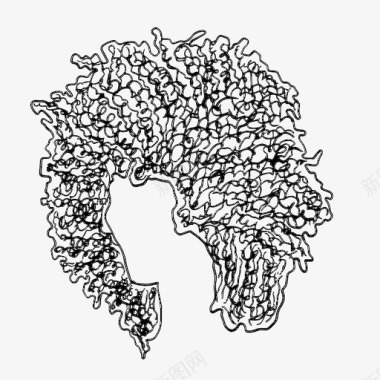 非洲式卷发发型图标图标