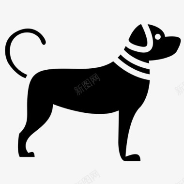 狗动物同伴图标图标