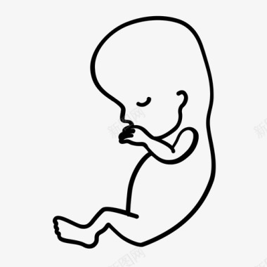 胚胎胎儿妊娠图标图标