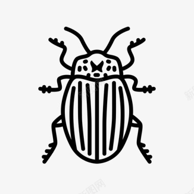甲虫科罗拉多土豆动物虫子图标图标