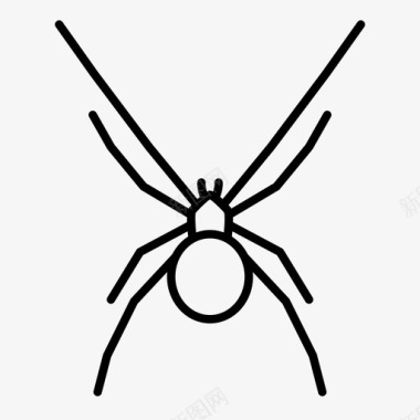 蜘蛛动物虫子图标图标