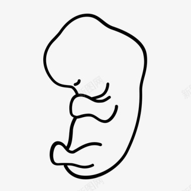 胚胎胚胎期胎儿图标图标