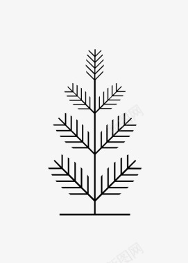 松树圣诞节冷杉图标图标