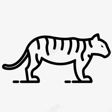 老虎猫丛林图标图标