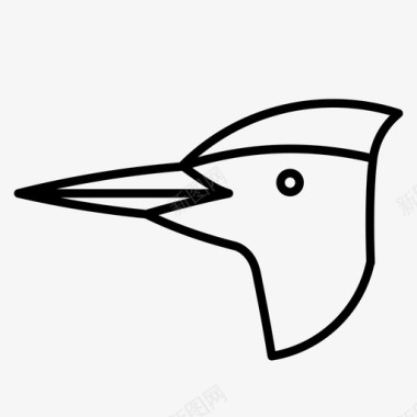啄木鸟头动物澳大利亚图标图标