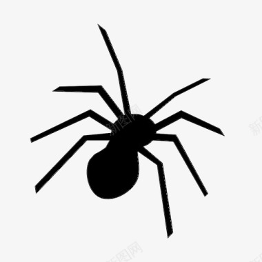 蜘蛛万圣节昆虫图标图标