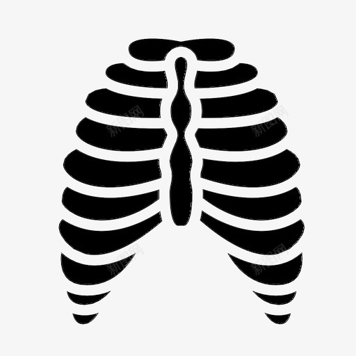 胸腔解剖学身体图标svg_新图网 https://ixintu.com 器官 肋骨 胸腔 胸骨 解剖学 身体