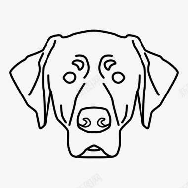 拉布拉多猎犬动物狗图标图标