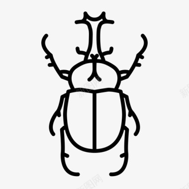 犀牛甲虫动物虫子图标图标