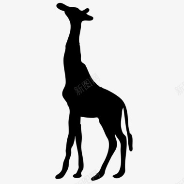 长颈鹿动物野生动物图标图标