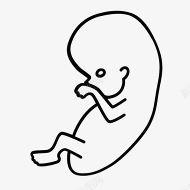 胚胎胚胎期胎儿图标图标