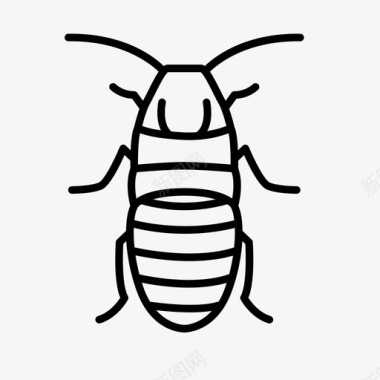 马达加斯加嘶嘶蟑螂动物臭虫图标图标