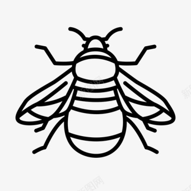 大黄蜂动物虫子图标图标